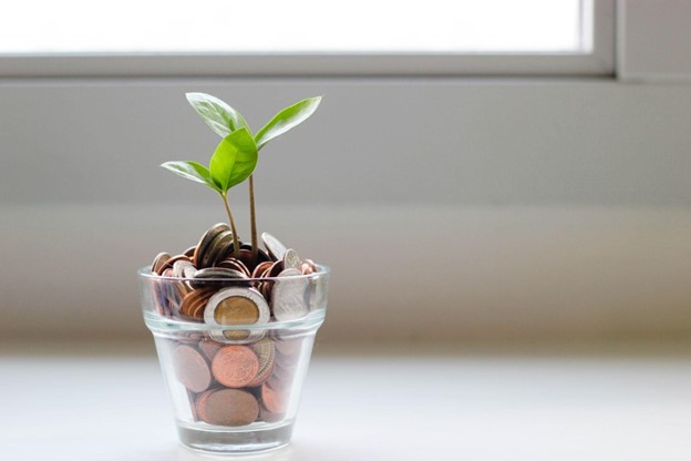 Green sprouts grow from a glass of coins, Merchant Cash Advance Works