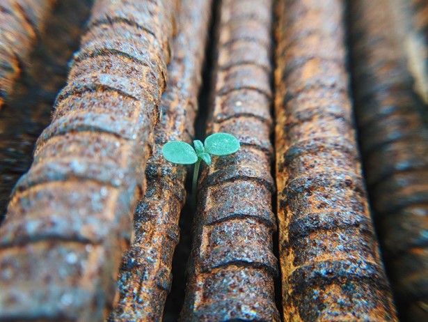 A small plant sprouts between rusty girders.