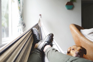 A man reclines in a hammock next to his dog Wealth Building