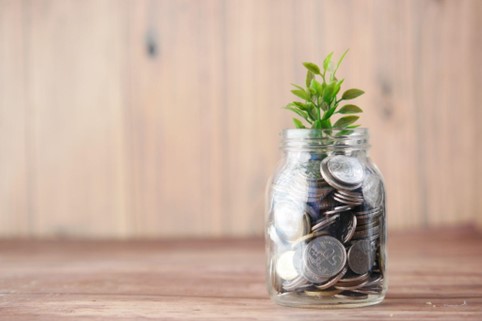 Green sprouts grow from a jar of coins Federal Reserve