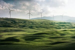 A sunny field with wind farm turbines in the distance wealth