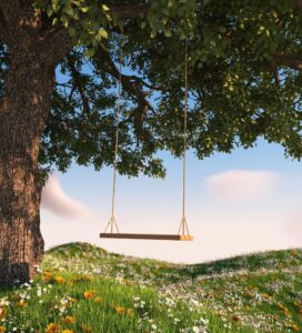 Exterior view of a swing hanging from a tree branch in a meadow for ‘Are You Getting Caught Out by High APY Offers?’